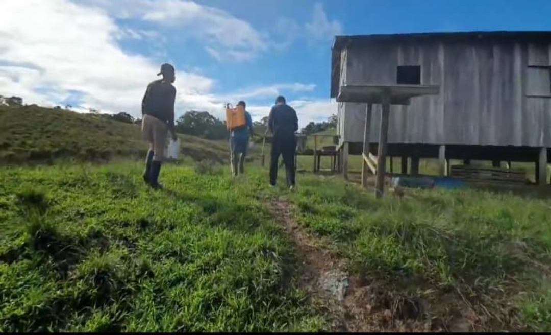 Estuprador que abusou da irmã de 13 anos é preso pela Polícia Civil, em Tarauacá